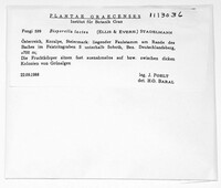Image Associated With the Occurence